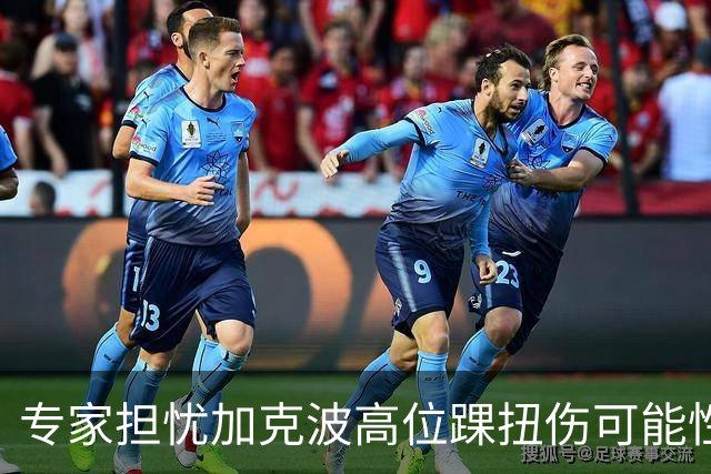 专家担忧加克波高位踝扭伤可能性，需检查确定伤情严重性